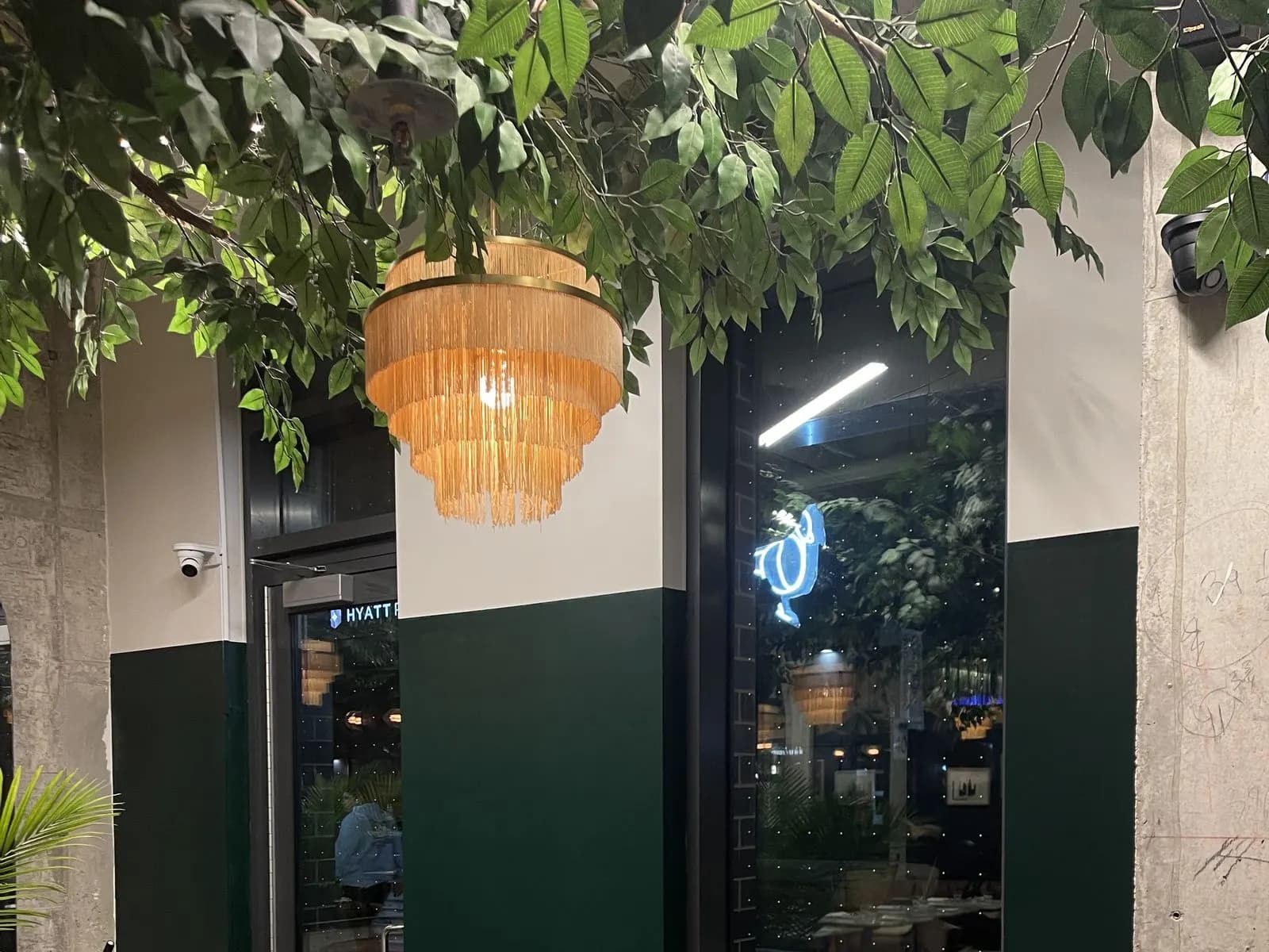 Café feature wall completed in a rich deep green paint colour