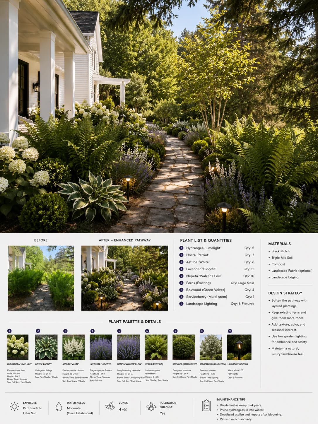 Garden walkway design board with hydrangeas, ferns, and stone path details