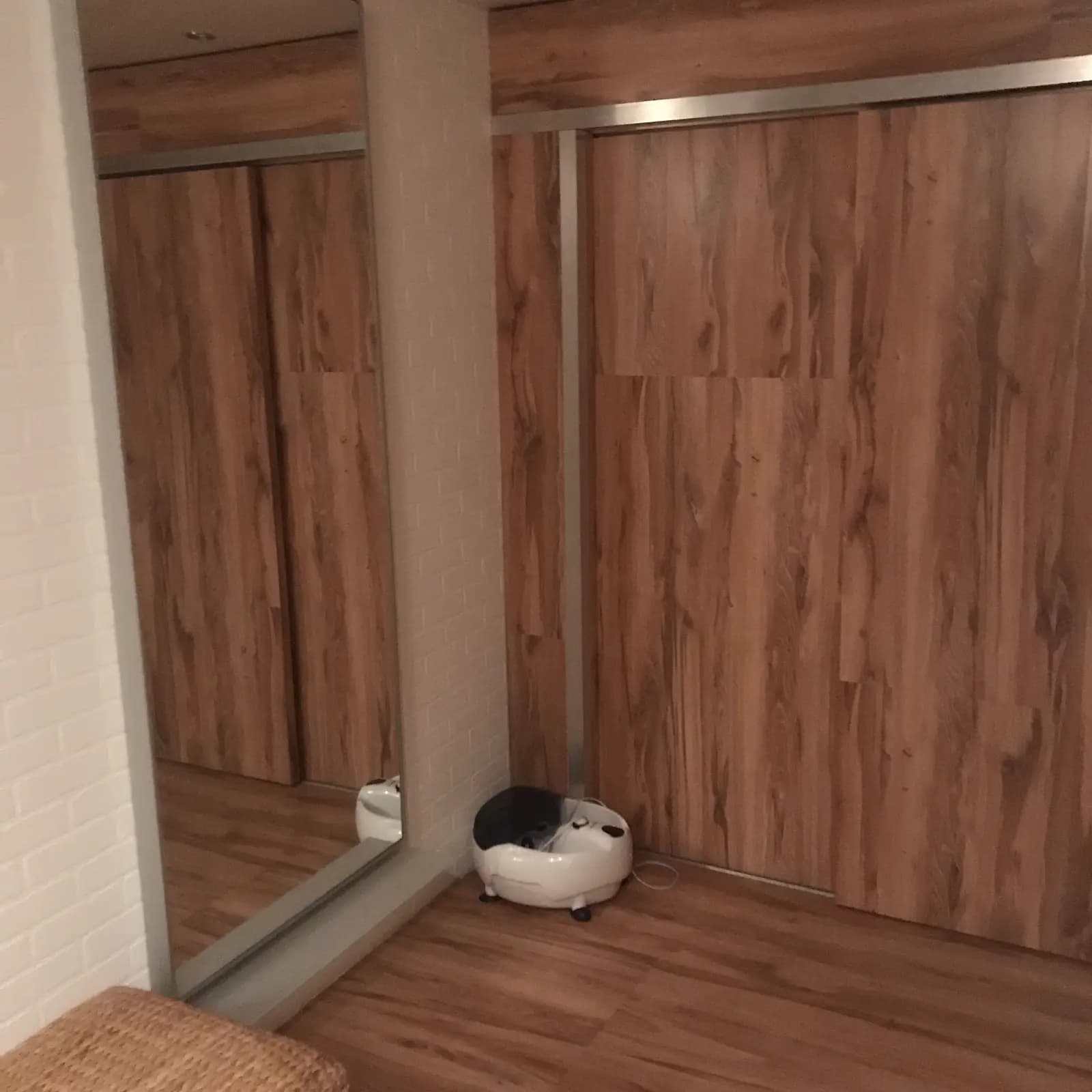 Walnut sliding doors against white brick texture, with the resident cat passing through